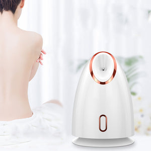 Nano Thermal Face Steamer 