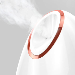 Nano Thermal Face Steamer 