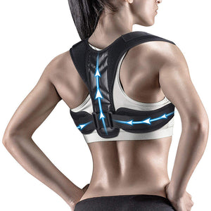 Back Support Belt