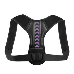 Back Support Belt