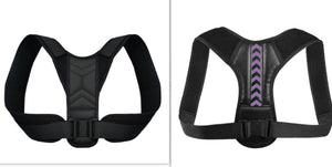 Back Support Belt