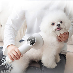 Pet Blow Hair Dryer 