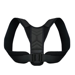 Back Support Belt