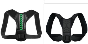 Back Support Belt