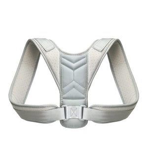 Back Support Belt