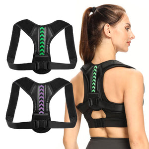 Back Support Belt 