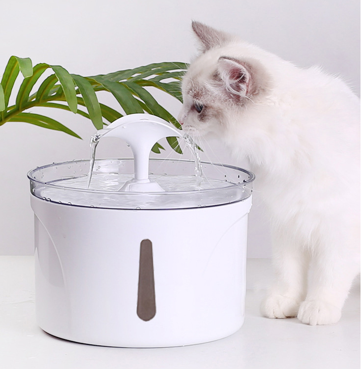 Pet Water Dispenser