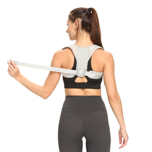 Back Support Belt